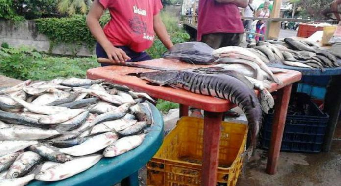 Pescado en Tucupita