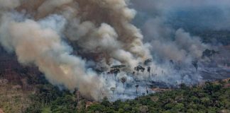 incendios en la Amazonía