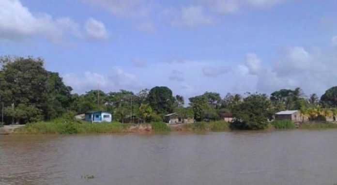 Araguaimujo