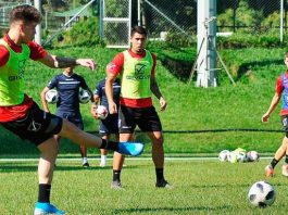 vinotinto