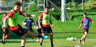 vinotinto