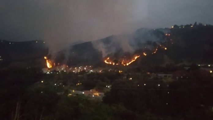 40 incendios registrados en Mérida dejan 1.088 hectáreas afectadas