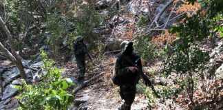Gobierno continúa capturando «mercenarios» en la Colonia Tovar