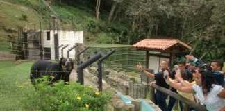 Zoológico de Mérida abre sus puertas