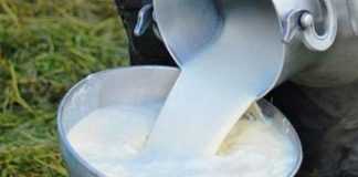 Leche de vaca, la opción para los bebés en Tucupita