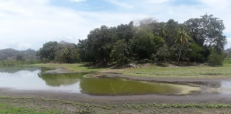 Según los residentes, la laguna de Ticamaya se ha convertido "en un sumidero"