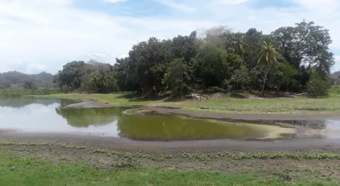 Según los residentes, la laguna de Ticamaya se ha convertido "en un sumidero"