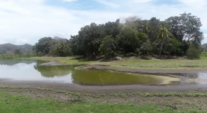 Según los residentes, la laguna de Ticamaya se ha convertido 