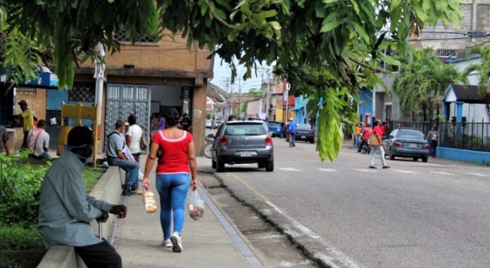 Salen-a-buscar-comida