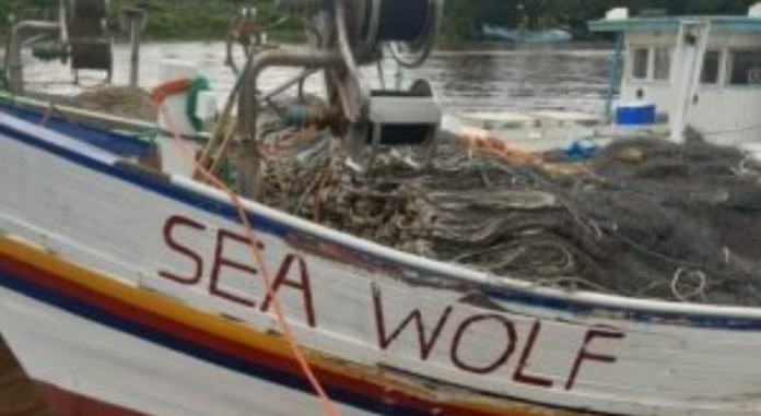 Sea Wolf