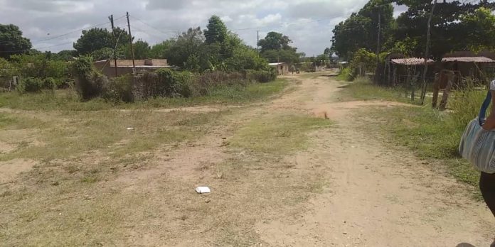 Los Olivos Ciudad Bolívar