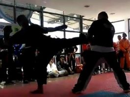 artes marciales