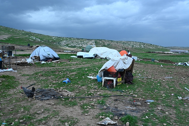 palestina