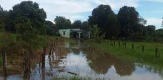 Río Guanare al borde de un nuevo desborde en Portuguesa