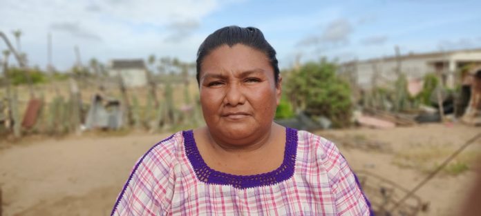 Yackelin González mujer Guajira