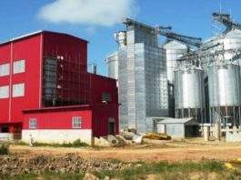 El Proyecto Delta no germinó