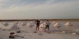 Salineros de la Guajira denuncian que la alcaldía les debe dinero