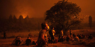 incendios han dejado 70 muertos en Argelia.