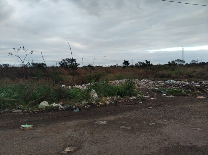 Las Garzas - Maturin