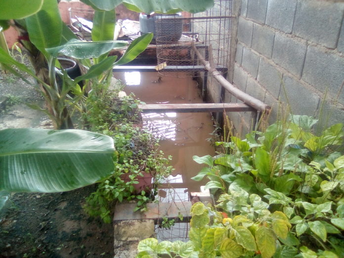 En San Juan de Los Morros llevan 15 años esperando la reparación de un recolector de agua que se tapa cada vez que llueve.