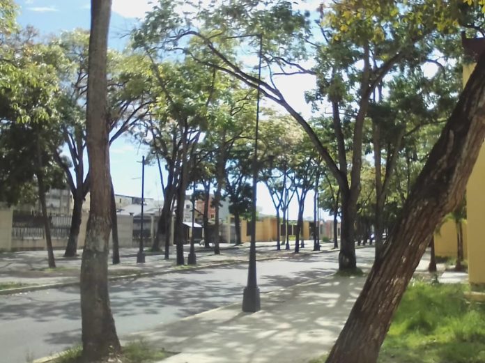 Paseo Bolívar de Maturín