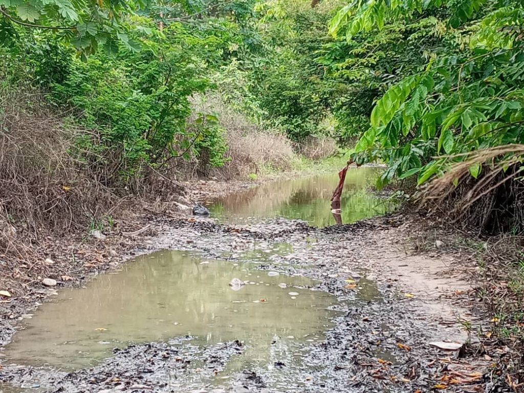 Inundaciones - Alto Apure