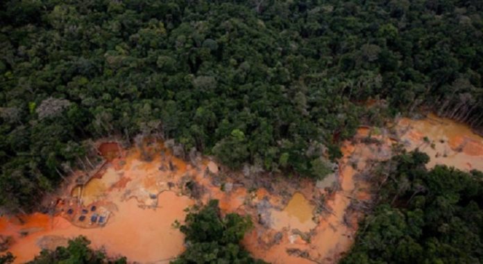 Contaminación Alto Caura