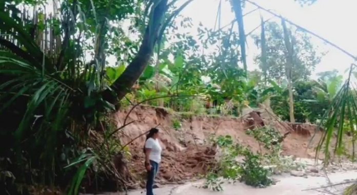 Ecocidio en Táchira