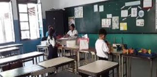 Día mundial del docente