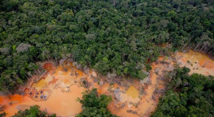 Fiebre oro Amazonas