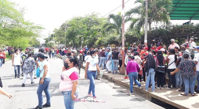 Votantes de Monagas