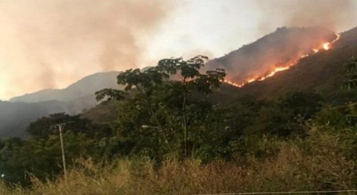 Parque nacional Henri Pittier