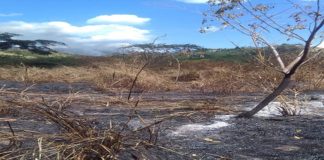 Incendio cuenca Apón