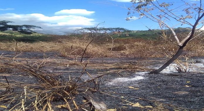 Incendio cuenca Apón