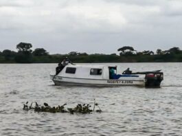 IRFA Los Caños