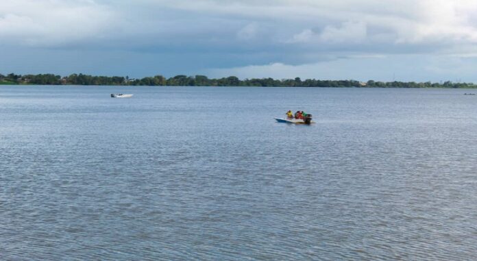 Transporte fluvial Delta