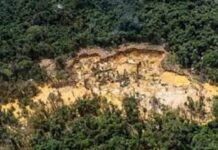 Minería ilegal Amazonas