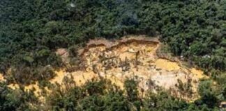Minería ilegal Amazonas