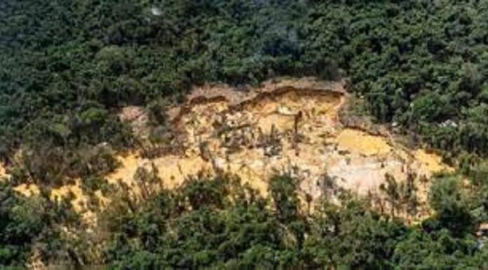 Minería ilegal Amazonas