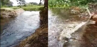 Río Orinoco en Tucupita