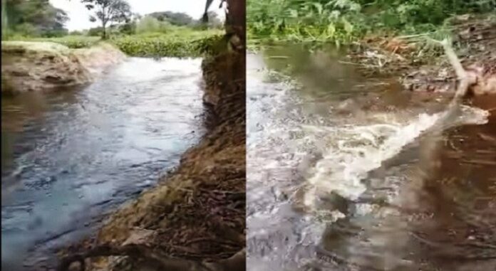 Río Orinoco en Tucupita