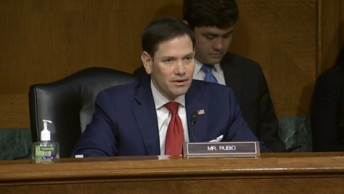 Senador Marco Rubio