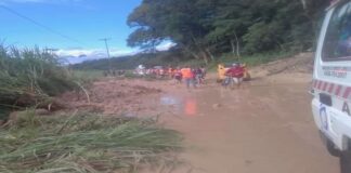 Puente Junín, Táchira