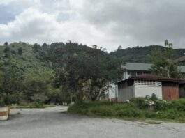 Universidad de Los Andes
