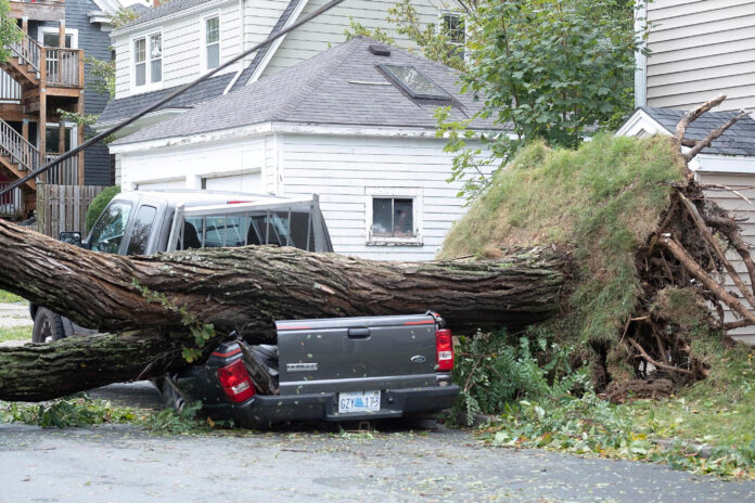 Residents clean up after Hurricane Fiona in Halifax