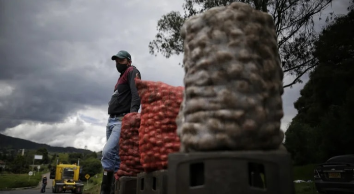 contrabando de papa en Venezuela