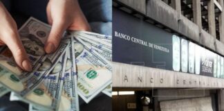 dólares - BCV - economía venezolana