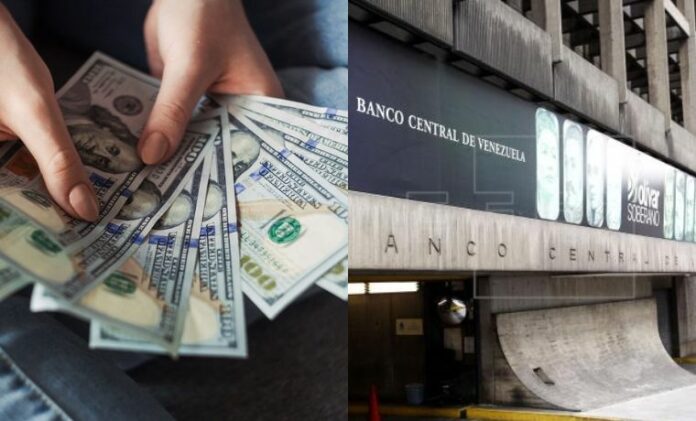 dólares - BCV - economía venezolana