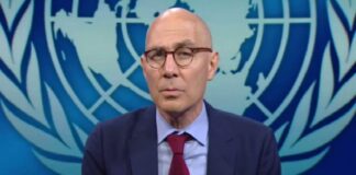 Volker Turk, Alto Comisionado Derechos Humanos ONU