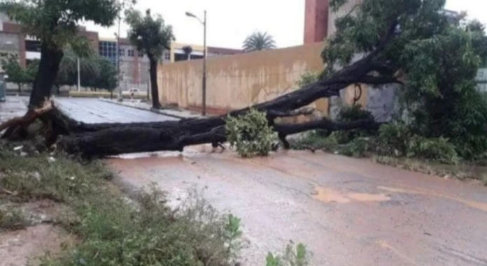 Lluvias en Anzoátegui